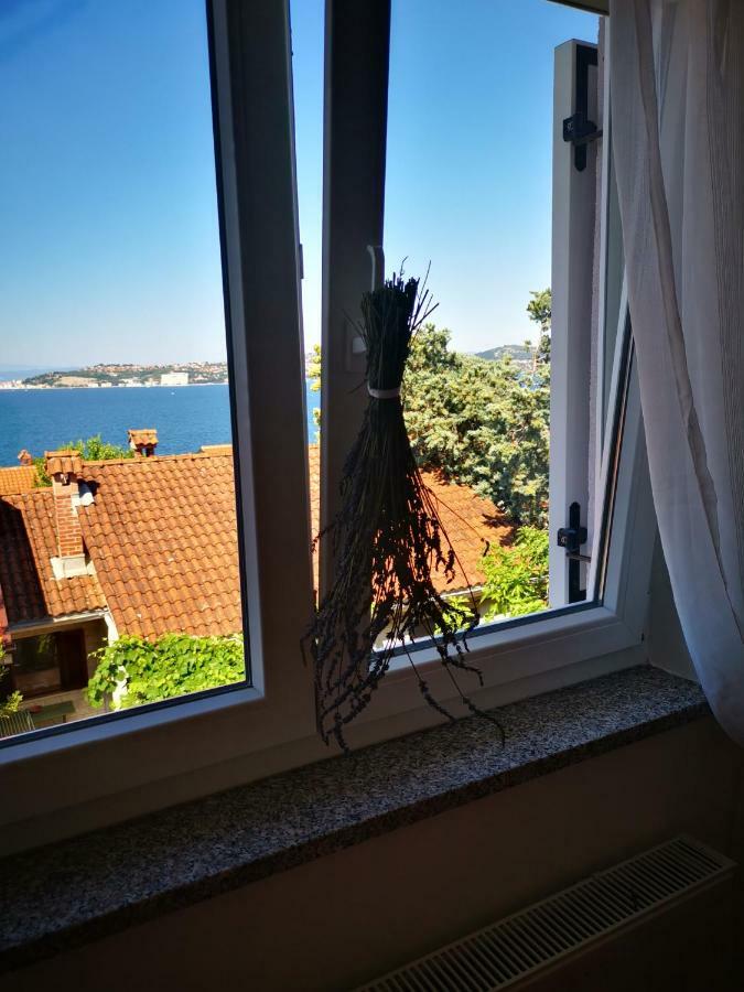 Erna & Inga Apartment Savudrija Bagian luar foto